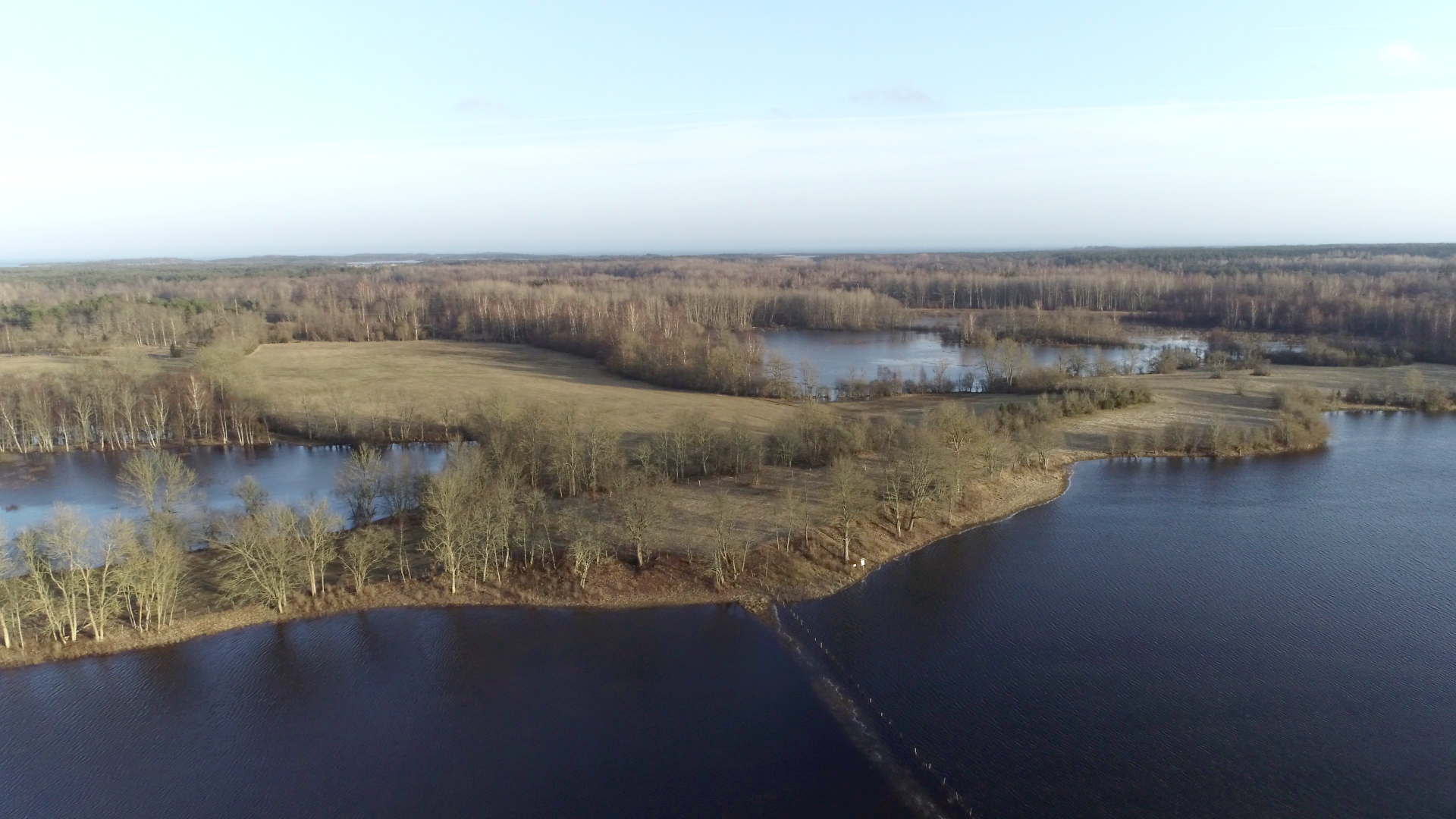 Aerofoto Asva kindlustatud asula. Esiplaanil veekogu (meri), tagaplaanil madal küngas mida katab metsatukk.