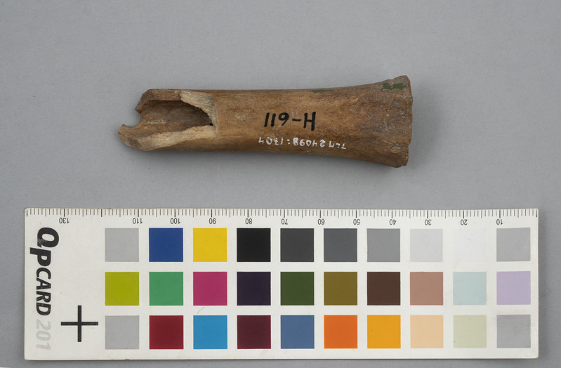 Luust vilepilli katke.